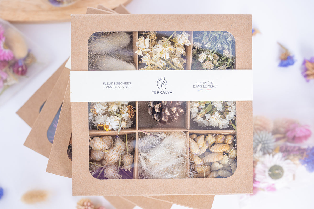 Coffret de fleurs séchées blanches et naturelles Terralya, présenté fermé avec son bandeau.