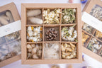 Coffret ouvert de têtes de fleurs séchées blanches et naturelles, vu de dessus avec neuf compartiments.