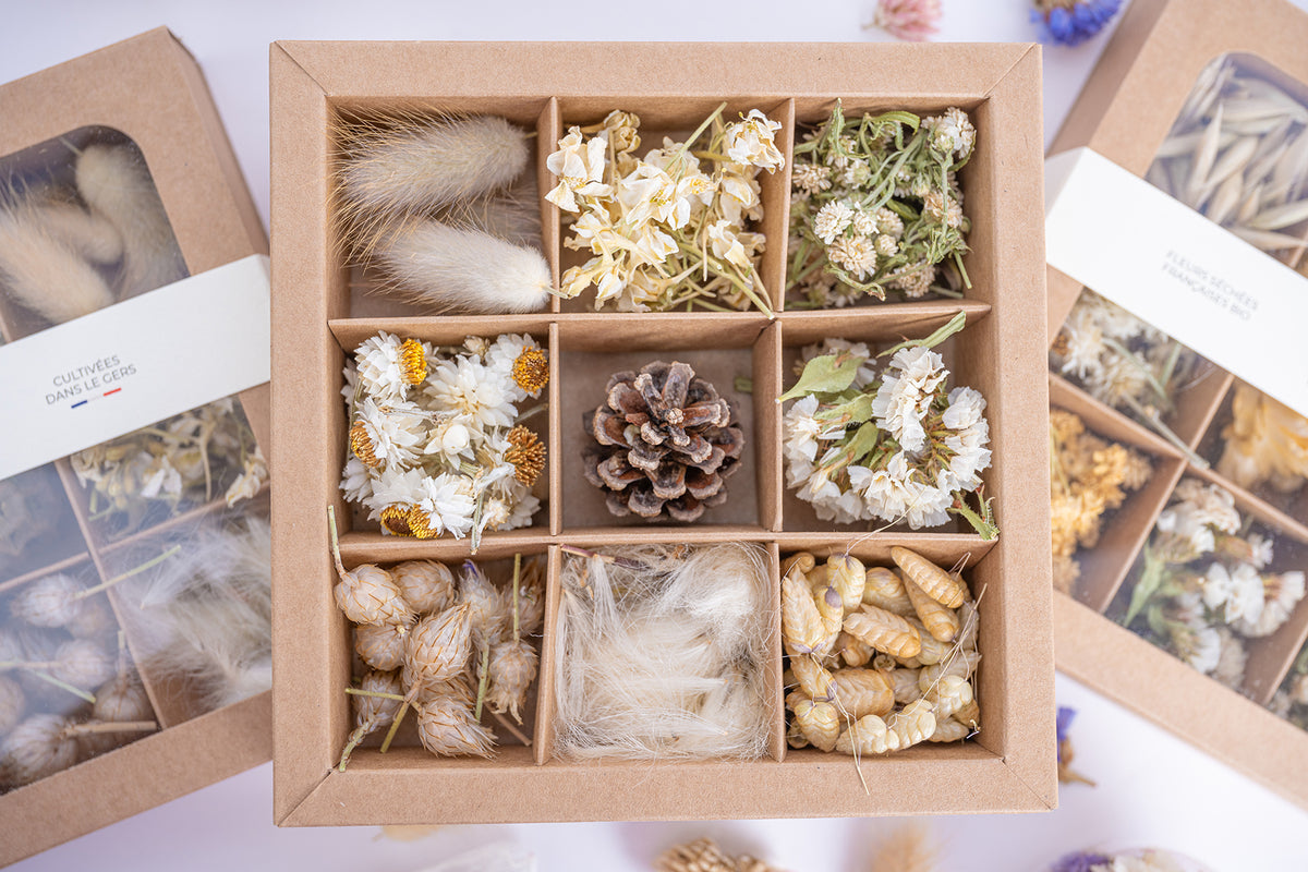 Coffret ouvert de têtes de fleurs séchées blanches et naturelles, vu de dessus avec neuf compartiments.