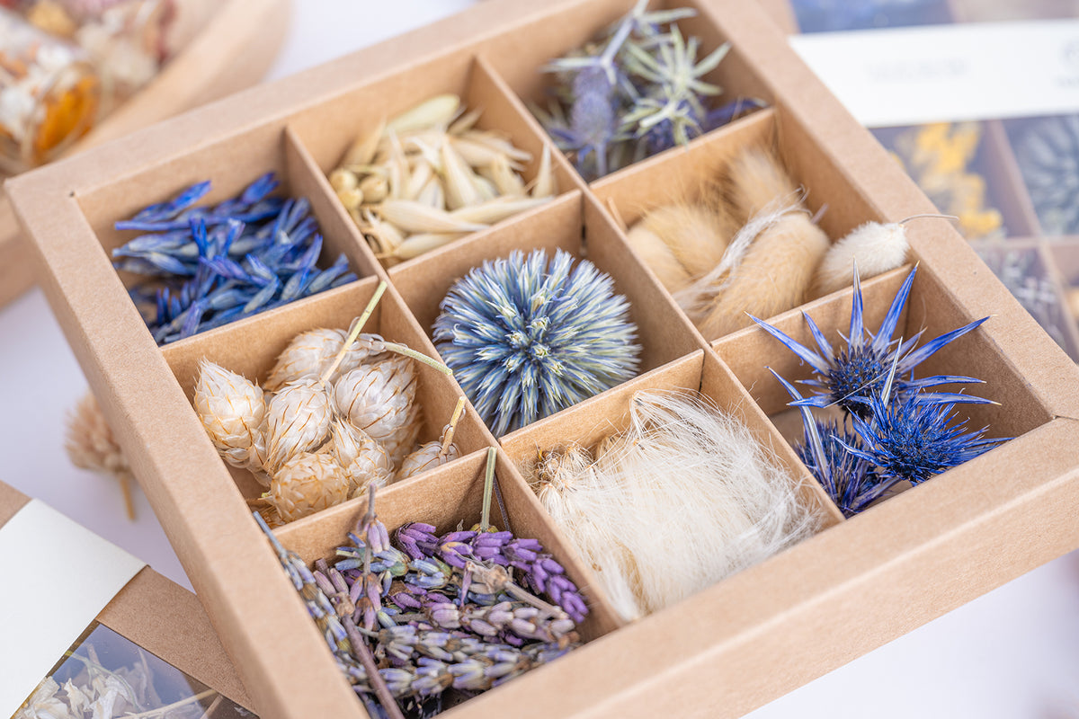 coffret-fleurs-sechees-bleues-details