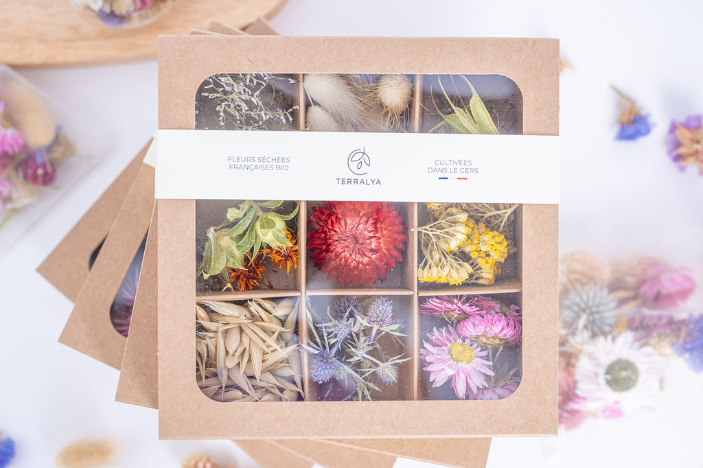 Coffret de têtes de fleurs séchées multicolores Terralya, fermé avec son bandeau, présentant neuf compartiments de fleurs françaises bio.