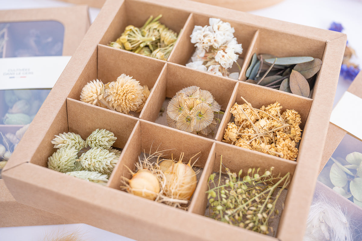 Gros plan sur les neuf compartiments du coffret Terralya Tons naturels, avec fleurs séchées crème, feuillage d'eucalyptus, graminées et végétaux aux nuances beige et vert doux.