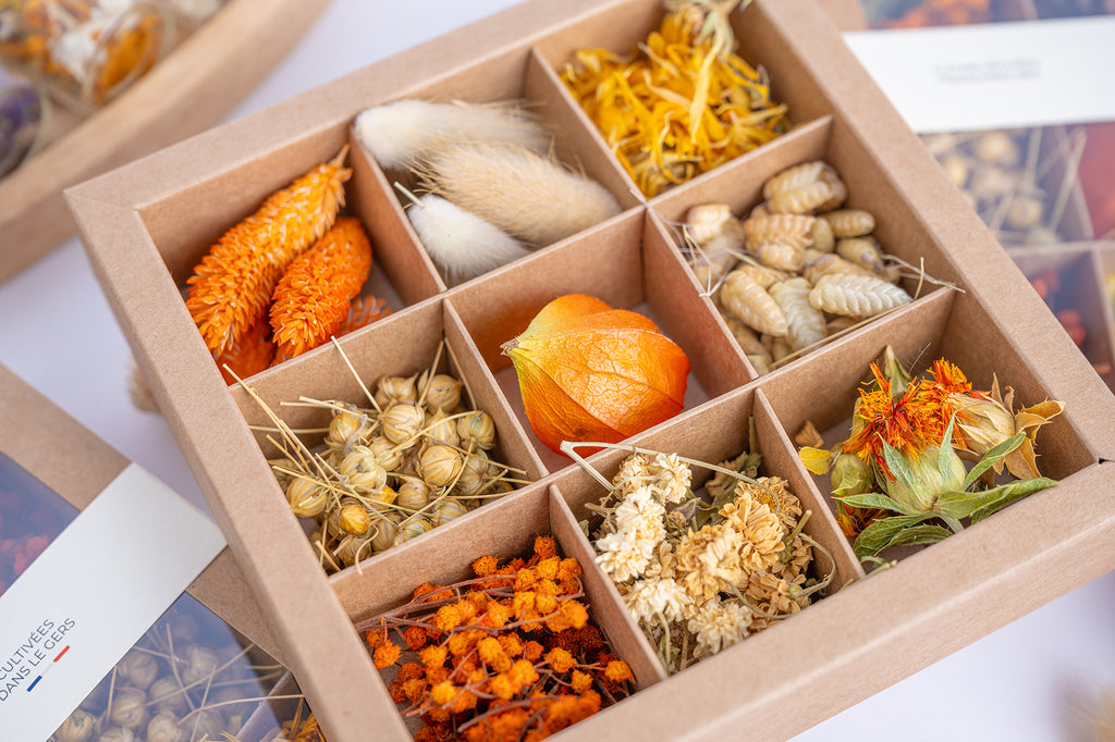 Coffret Tons orangés Terralya ouvert, présentant neuf compartiments de têtes de fleurs séchées, avec phalaris orange, lagurus, physalis, lin et carthamus.