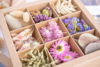 Gros plan sur les compartiments du coffret Tons roses Terralya, avec des immortelles roses, des lagurus, des fleurs séchées violettes et des végétaux naturels.