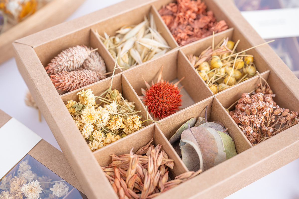 Gros plan sur les fleurs séchées du coffret Terralya Tons terracotta, avec échinops cuivré, phalaris rosé, avoine naturelle et végétaux aux nuances beige et terracotta.