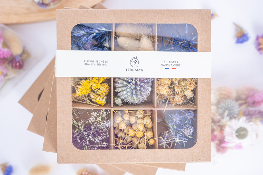 Coffret de têtes de fleurs séchées françaises bio Terralya dans les tons bleus, présenté fermé avec son bandeau et neuf compartiments visibles.