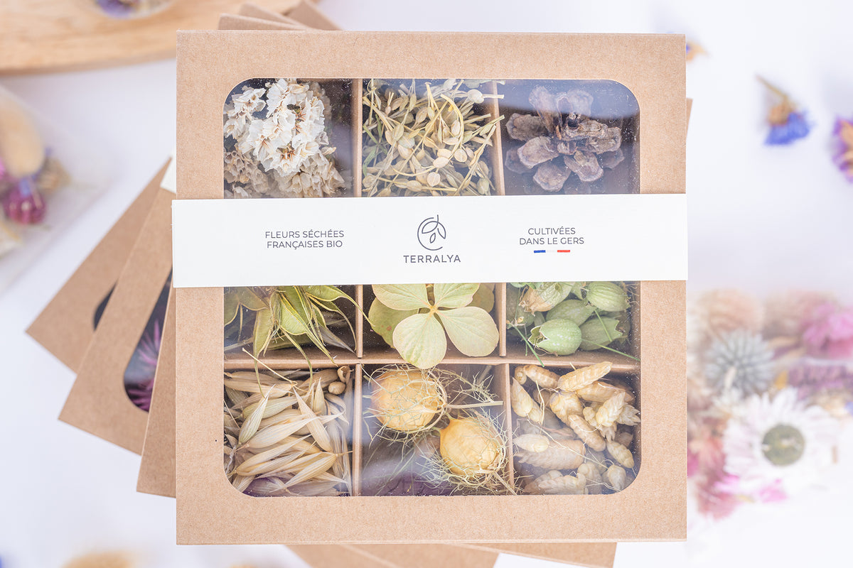 Coffret Terralya de têtes de fleurs séchées françaises bio aux tons naturels, présenté fermé avec son bandeau et ses neuf compartiments visibles.