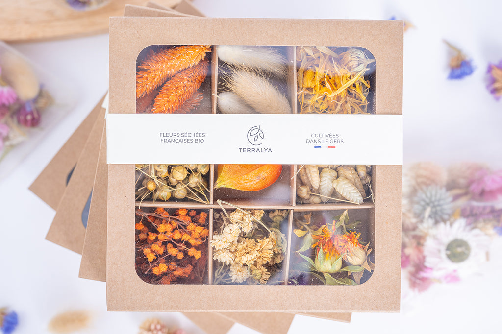Coffret Terralya de têtes de fleurs séchées aux tons orangés, présenté fermé avec son bandeau, contenant neuf compartiments de fleurs françaises bio.
