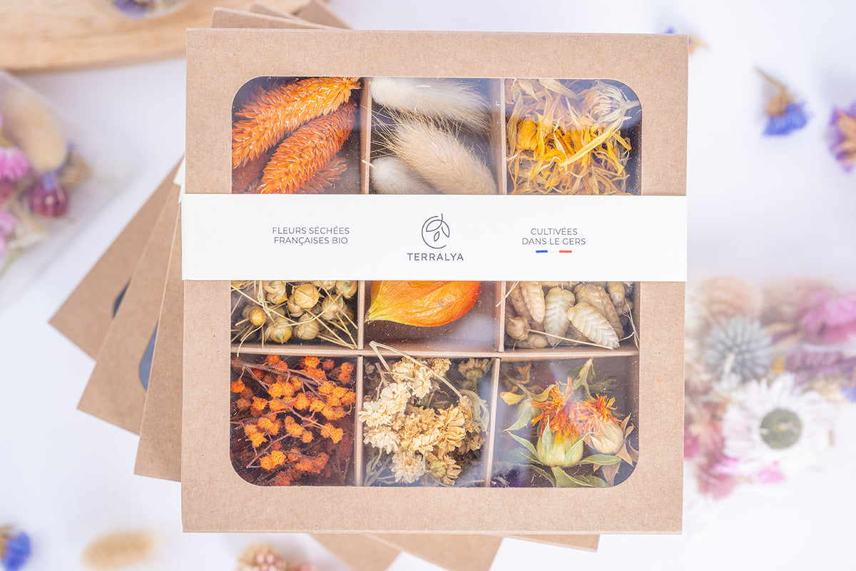 Coffret Terralya de têtes de fleurs séchées aux tons orangés, présenté fermé avec son bandeau, contenant neuf compartiments de fleurs françaises bio.
