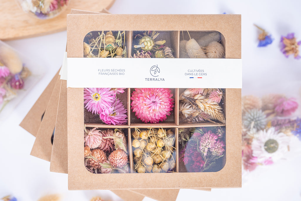Coffret de têtes de fleurs séchées françaises bio Terralya, tons roses, présenté fermé avec son bandeau et ses neuf compartiments visibles.