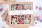 Coffret Terralya de têtes de fleurs séchées françaises bio aux tons rouges et naturels, présenté fermé avec son bandeau et ses neuf compartiments visibles.
