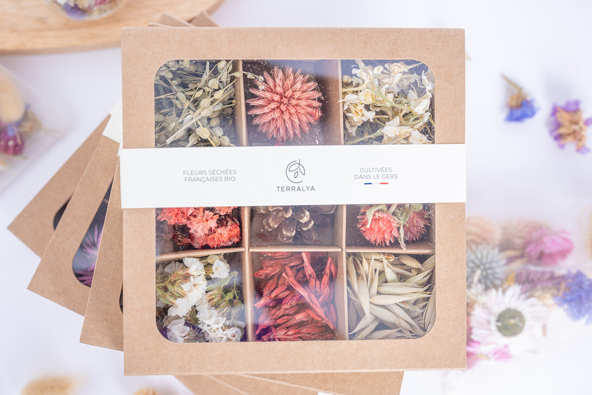 Coffret Terralya de têtes de fleurs séchées françaises bio aux tons rouges et naturels, présenté fermé avec son bandeau et ses neuf compartiments visibles.
