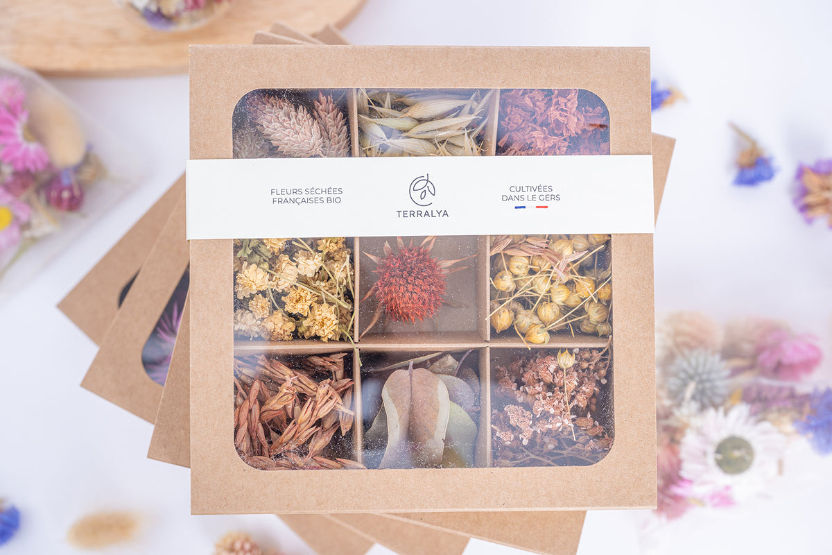 Coffret Terralya de têtes de fleurs séchées françaises bio aux tons terracotta, présenté fermé avec son bandeau et ses neuf compartiments visibles.