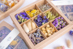 Gros plan sur les fleurs séchées du coffret Terralya Tons violets, avec fleurs violettes et mauves, lavande, lagurus naturels et petites fleurs jaunes.