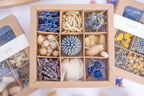 Coffret de fleurs séchées tons bleus ouvert, avec neuf compartiments contenant notamment des échinops bleus, de la lavande, des lagurus et des végétaux naturels.