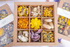 Coffret Tons jaunes Terralya ouvert, présentant neuf compartiments de têtes de fleurs séchées jaunes, blanches et naturelles, avec immortelles, lagurus et autres végétaux.
