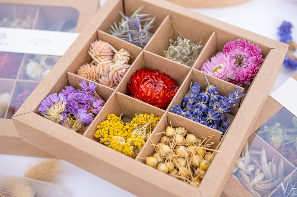 Gros plan des têtes de fleurs séchées multicolores dans un coffret Terralya, avec immortelle rouge, fleurs roses, bleues, violettes et jaunes.