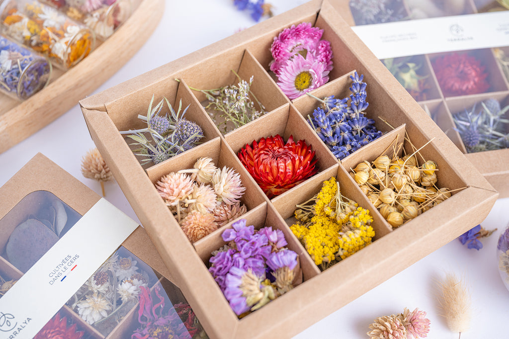 Coffret Terralya ouvert présentant neuf compartiments de têtes de fleurs séchées multicolores, aux nuances roses, rouges, jaunes, bleues et violettes, pour les loisirs créatifs DIY.