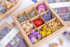 Coffret Terralya ouvert présentant neuf compartiments de têtes de fleurs séchées multicolores, aux nuances roses, rouges, jaunes, bleues et violettes, pour les loisirs créatifs DIY.