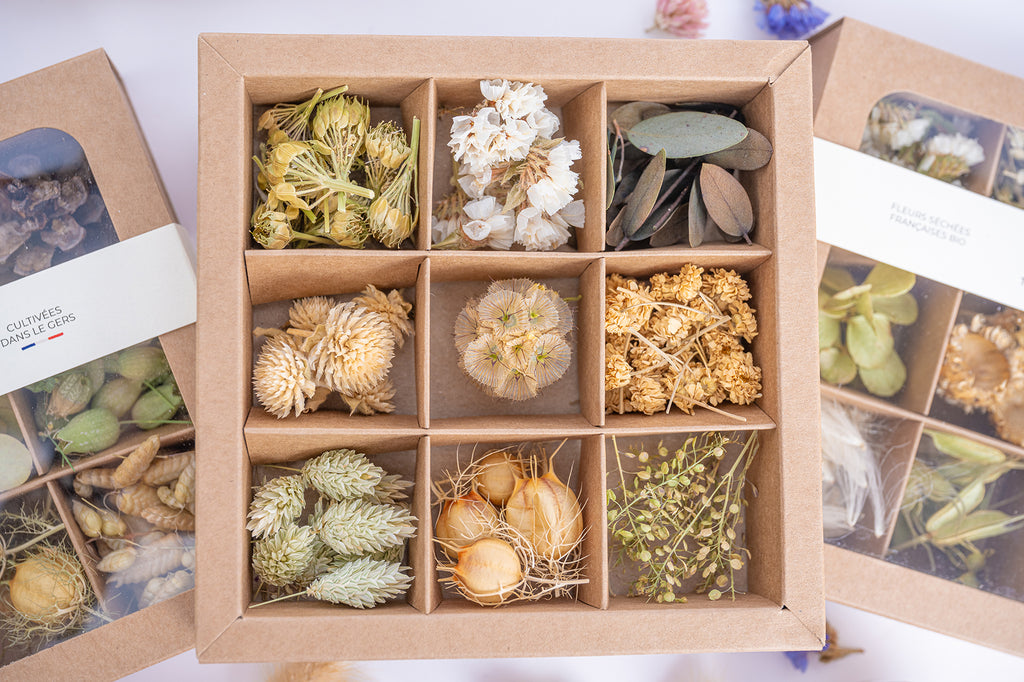 Coffret de têtes de fleurs séchées Tons naturels Terralya ouvert, avec neuf compartiments de fleurs écrues, graminées, feuillages et capsules végétales.