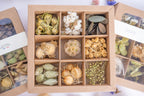 Coffret de têtes de fleurs séchées Tons naturels Terralya ouvert, avec neuf compartiments de fleurs écrues, graminées, feuillages et capsules végétales.