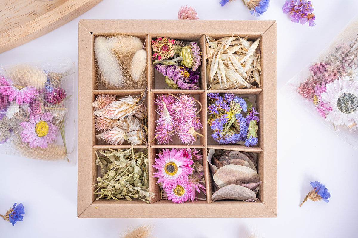 Coffret de fleurs séchées tons roses ouvert, présentant neuf compartiments garnis de fleurs et végétaux naturels aux nuances roses, mauves et écrues.