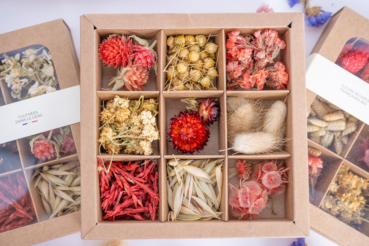 Coffret Tons rouges Terralya ouvert, présentant neuf compartiments de têtes de fleurs séchées avec immortelles rouges, lin, lagurus et avoine naturelle.