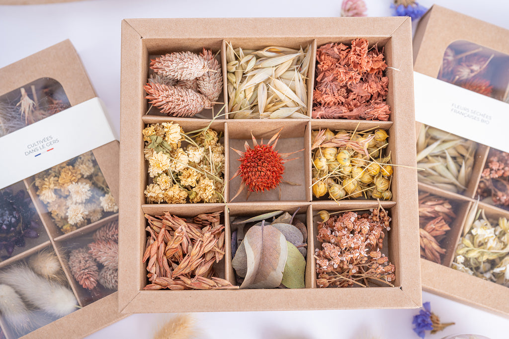 Présentation de trois coffrets Terralya de fleurs séchées aux tons terracotta, dont un ouvert au centre dévoilant neuf compartiments de fleurs et végétaux aux nuances rosées, cuivrées et naturelles.