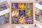 coffret-tetes-fleurs-sechees-violettes-ouvert