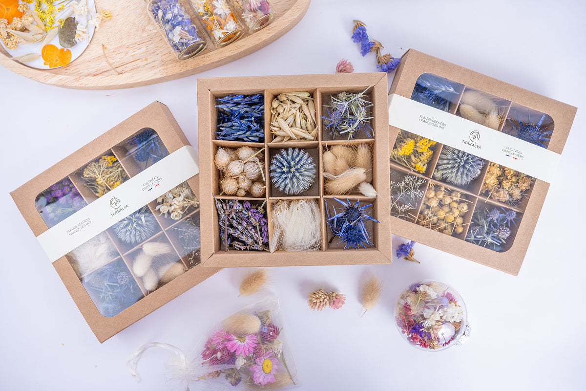 Trois coffrets Terralya de fleurs séchées aux tons bleus et naturels, dont un ouvert présentant neuf compartiments de fleurs et végétaux séchés.