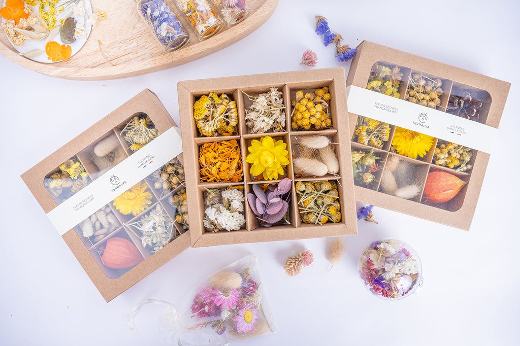 Trois coffrets Terralya de fleurs séchées aux tons jaunes et naturels, dont un ouvert dévoilant neuf compartiments de fleurs et végétaux pour les loisirs créatifs.