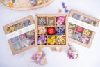 Présentation de trois coffrets Terralya de fleurs séchées multicolores, avec un coffret ouvert montrant neuf compartiments de fleurs aux couleurs variées.