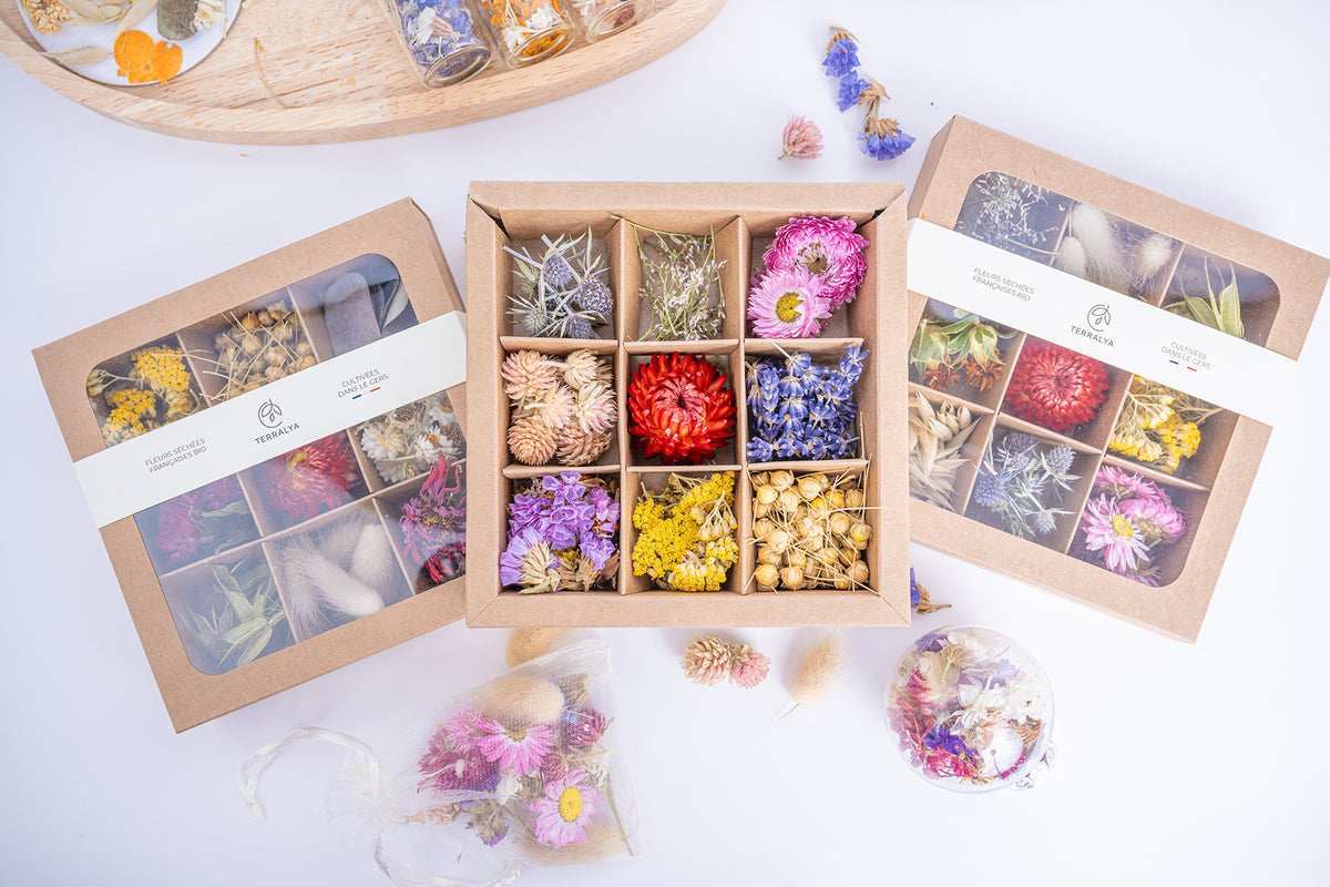 Présentation de trois coffrets Terralya de fleurs séchées multicolores, avec un coffret ouvert montrant neuf compartiments de fleurs aux couleurs variées.