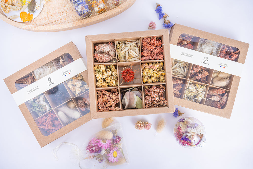 Coffret Tons terracotta Terralya ouvert, présentant neuf compartiments de têtes de fleurs séchées avec phalaris, avoine, échinops terracotta, capsules de lin et feuillage d'eucalyptus.