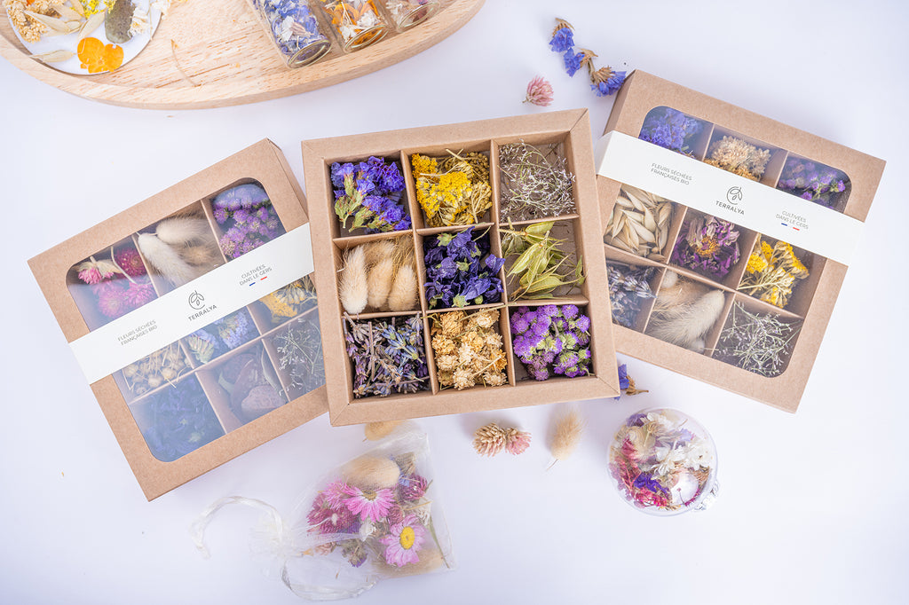 Présentation de trois coffrets Terralya de fleurs séchées aux tons violets, dont un ouvert au centre dévoilant neuf compartiments de fleurs violettes, jaunes et naturelles.