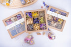 Présentation de trois coffrets Terralya de fleurs séchées aux tons violets, dont un ouvert au centre dévoilant neuf compartiments de fleurs violettes, jaunes et naturelles.