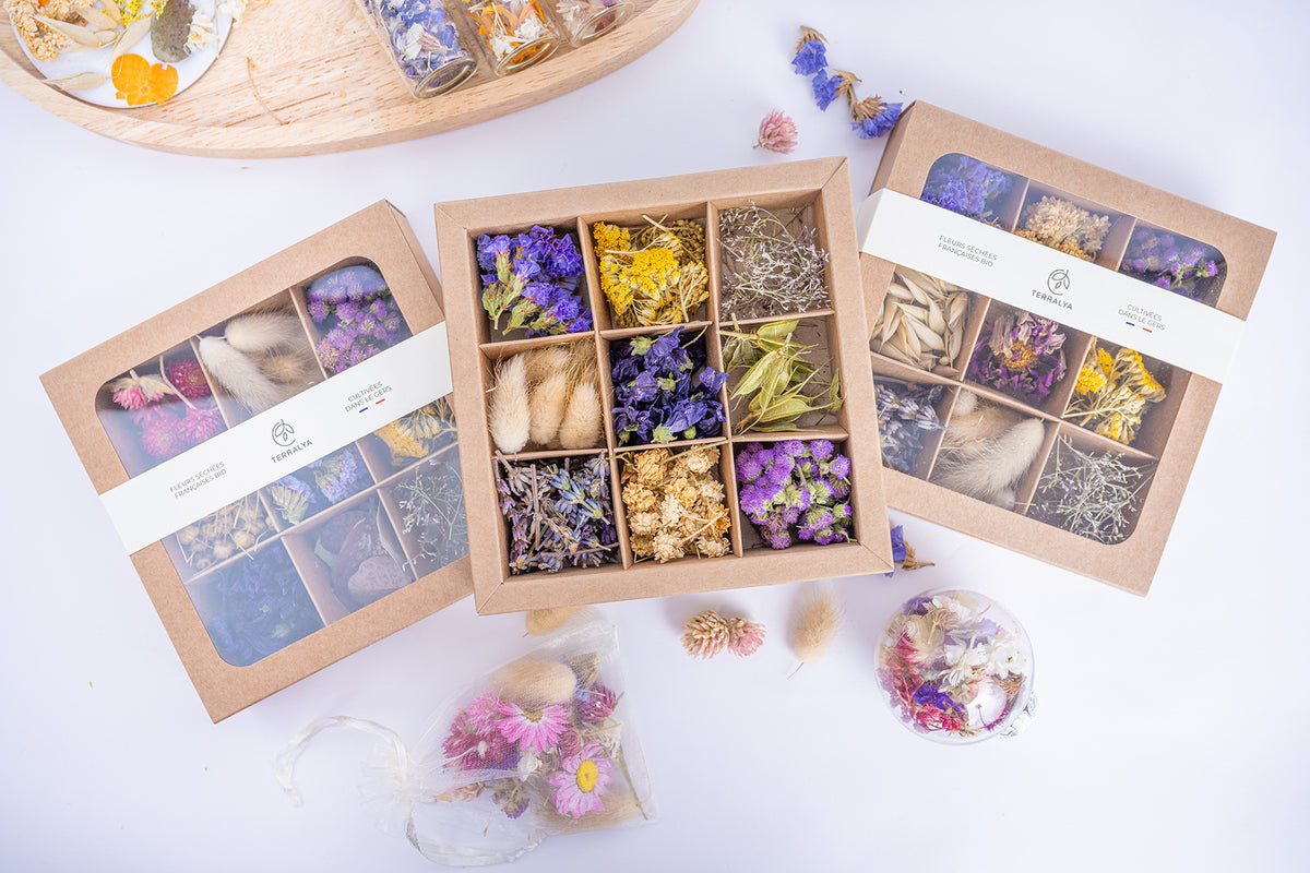 Présentation de trois coffrets Terralya de fleurs séchées aux tons violets, dont un ouvert au centre dévoilant neuf compartiments de fleurs violettes, jaunes et naturelles.