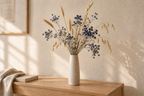 Composition d’ammi bleu, de blé et d’avoine séchés dans un intérieur naturel aux tons beiges