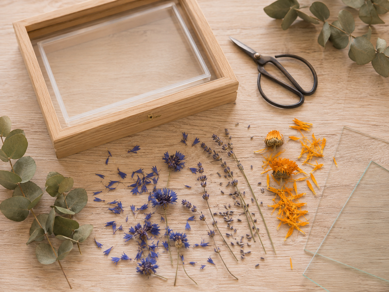 Création d’un cadre en verre avec eucalyptus, pétales de bleuet, lavande et souci disposés sur une table avec des ciseaux.