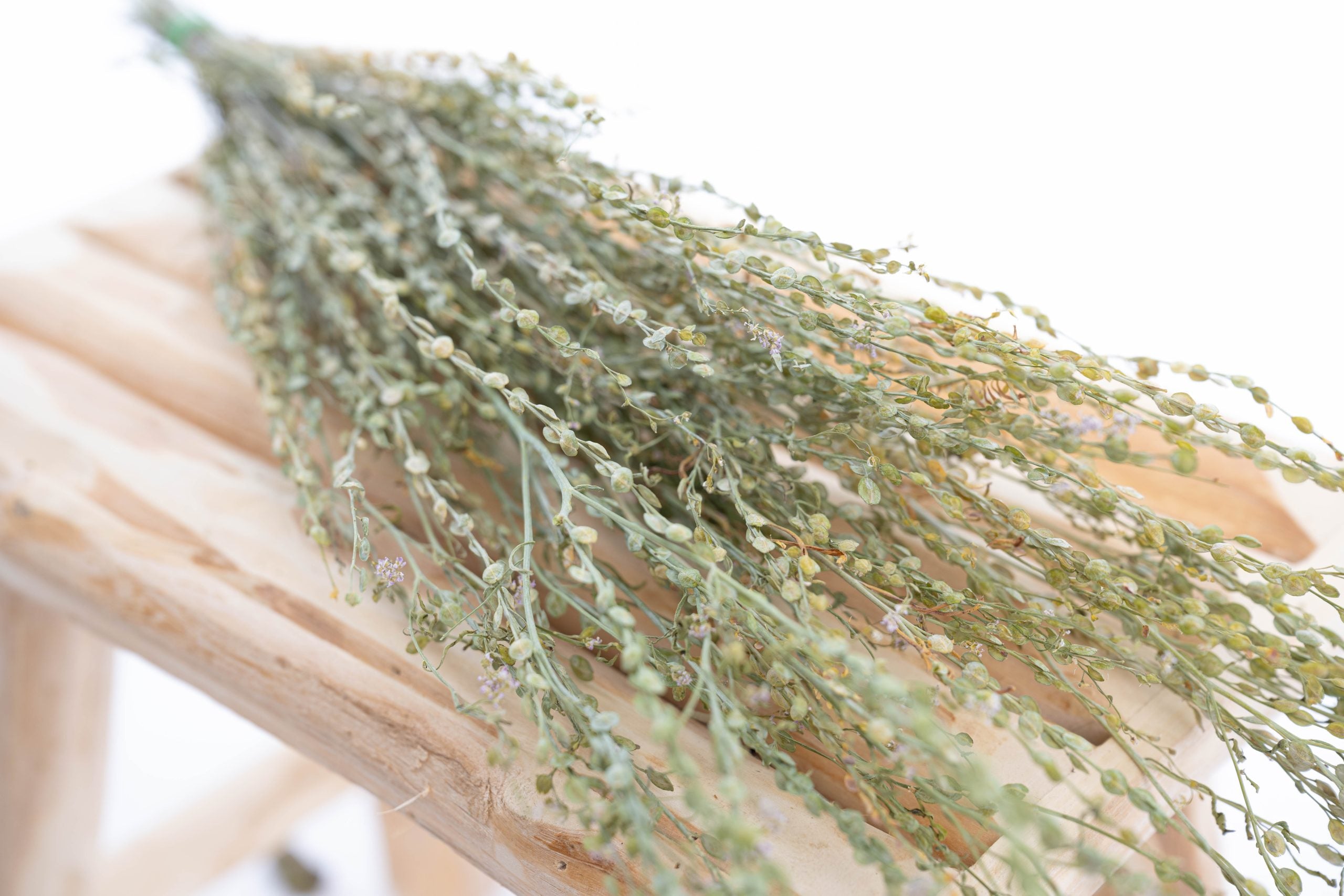 Tiges de cresson séché en vrac bio