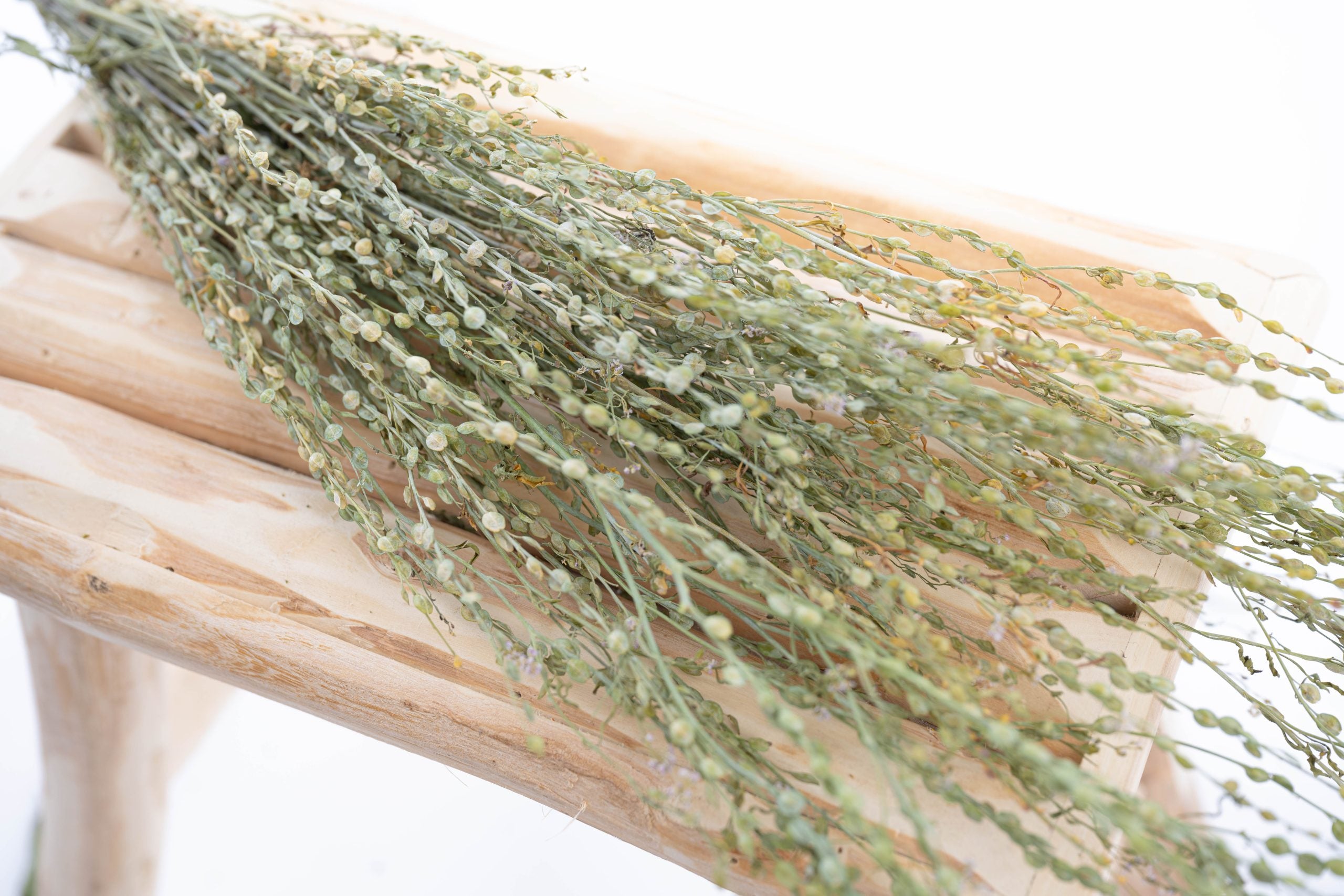 Cresson séché bio cultivé en France pour bouquets et déco