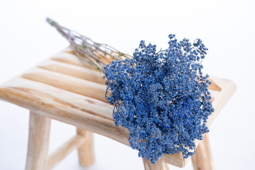 Fleur séchée d’achillée teintée en bleu intense