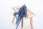 Fleur de pays teintée bleu royal, séchée artisanalement
