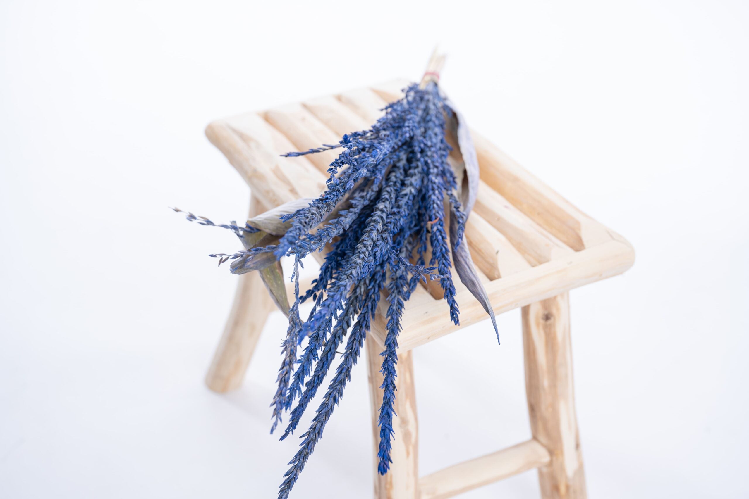 Fleur de pays teintée bleu royal, séchée artisanalement