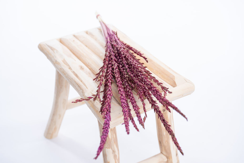 Fleur de pays cyclamen, rose intense et lumineux