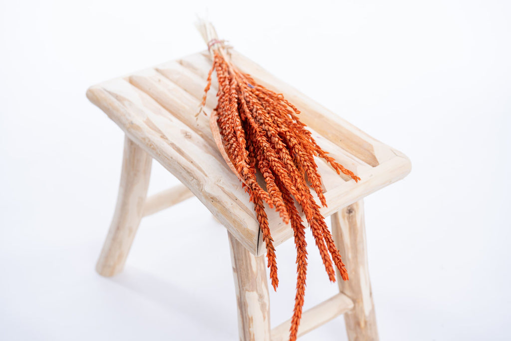 Fleur de pays orange séchée et teintée à la main