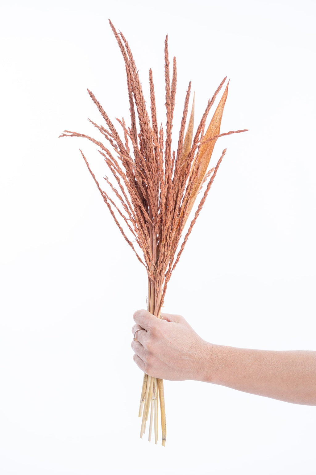 Fleur de pays teintée en terracotta chaud et intense