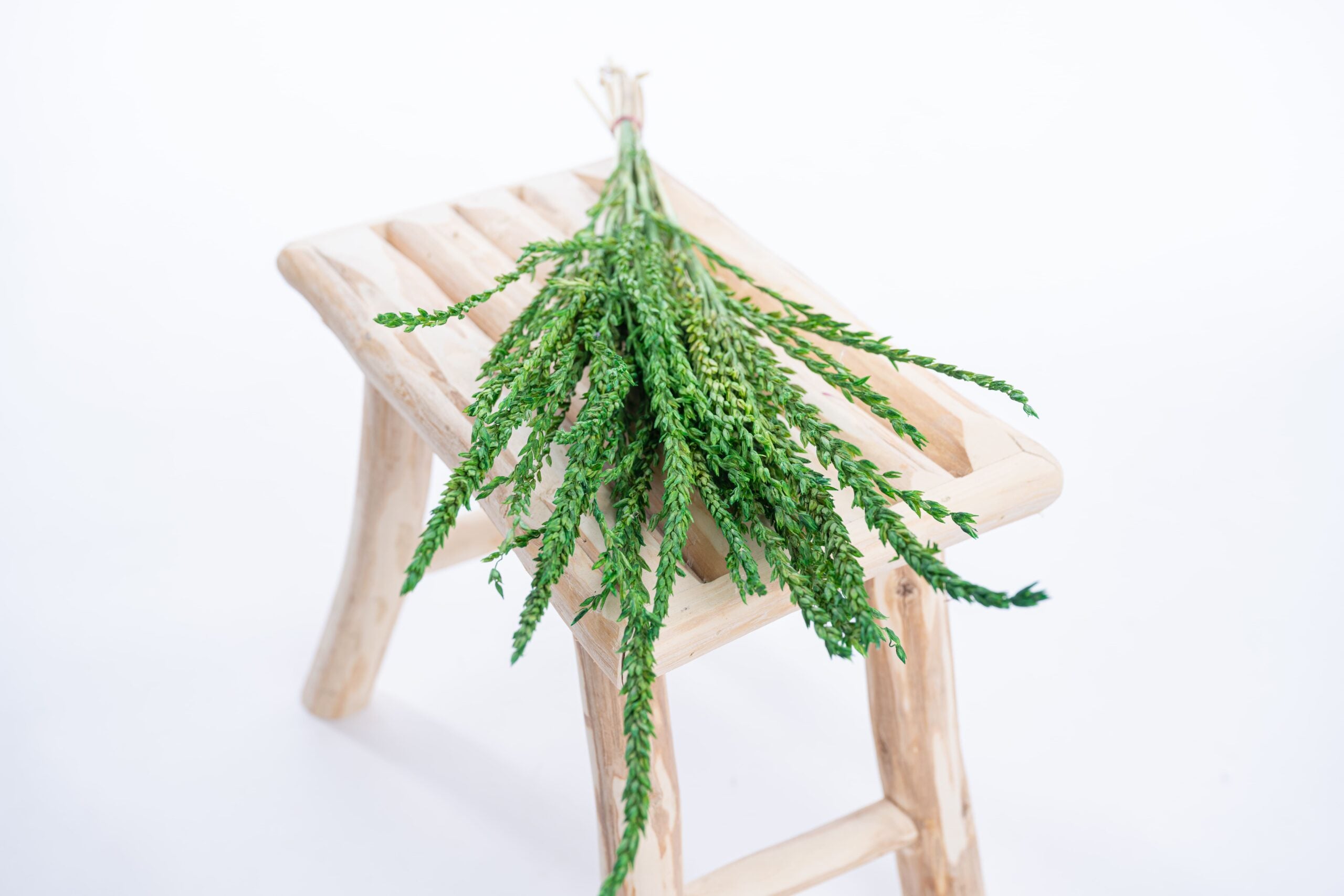 Fleur séchée teintée vert vif, gamme fleur de pays Terralya