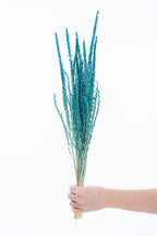 Fleur séchée bleu canard, gamme fleur de pays Terralya