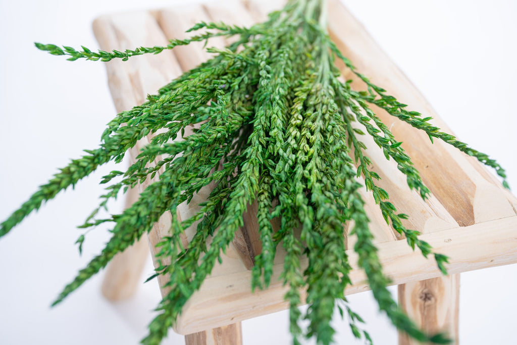 Fleur de pays ton vert – couleur franche et vibrante | Terralya